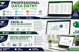 do professional data entry , excel and admin support