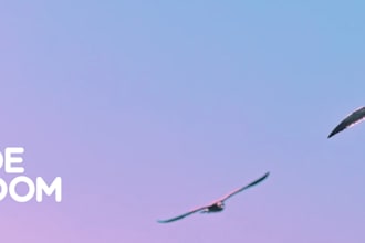 conduct an intensive 2 hour deep dive interview