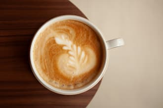 provide business and product photography