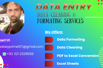 do data entry data cleaning and data formatting