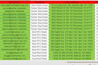 build niche and targeted email list