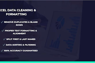 do professional excel data cleaning, formatting
