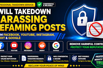 takedown harassing defaming posts from facebook instagram reddit youtube google