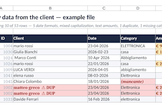 clean and organize your messy excel data