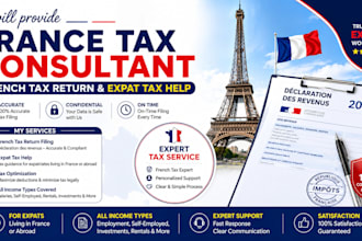 provide france tax consultant service, french tax return and expat tax help