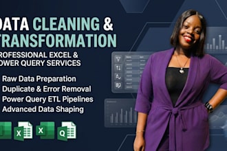 professionally clean, organize and transform your data for analysis