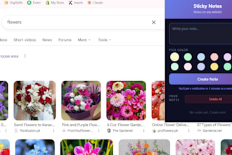 develop custom chrome extension or browser extension for you