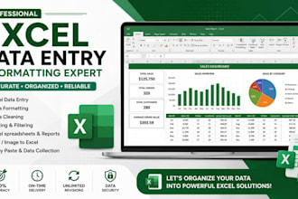 do expert excel data entry, formatting, and spreadsheet work