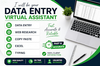 accurate data entry , copy paste , web reasearch and excel data entry