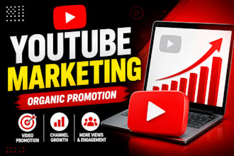do professional youtube marketing and promotion