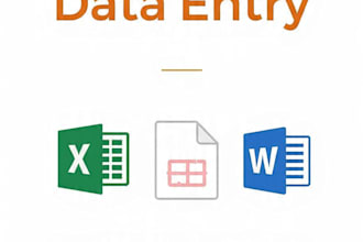 do fast and accurate data entry and excel work