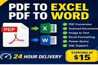 excel excel data entry, power query, sql queries, PDF excel