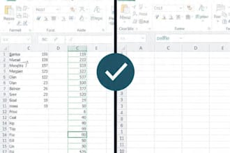 do fast and accurate data entry, excel and copy paste work