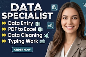 do data entry, data cleaning and pdf to excel