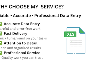 accurate data entry, copy typing, and PDF conversion