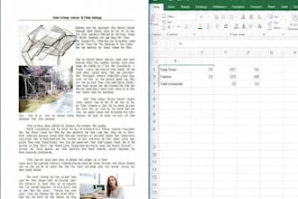 do data entry, excel cleaning, and ppt presentation