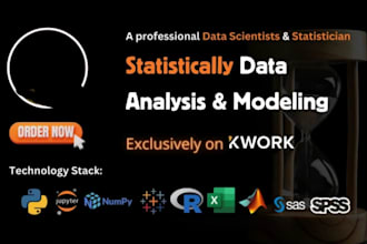 do statistical data analysis for you