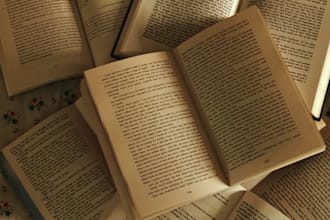 provide professional book beta reading and critique