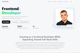 create a professional responsive developer portfolio website