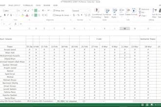 be your professional virtual assistant for data entry, ms office and urdu