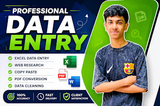 do accurate data entry, data cleaning, web research and copy paste