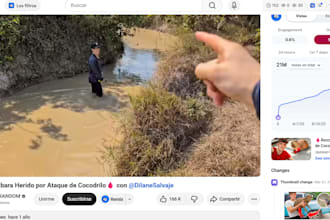 editor de video para youtube y marcas