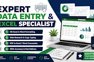 do data entry, excel formatting, web research, copy paste