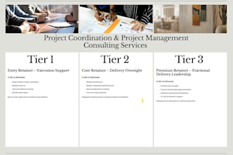 provide end to end project management