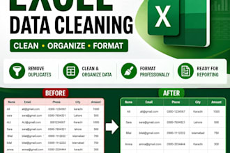 clean, organize and format excel spreadsheets