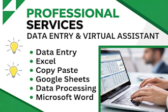 do professional data entry excel and copy paste tasks