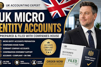 prepare UK micro entity accounts and companies house filing