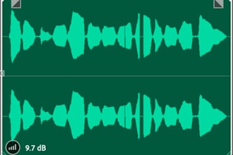 record a professional mandarin chinese voice over for your project