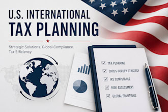 provide US international tax consultation
