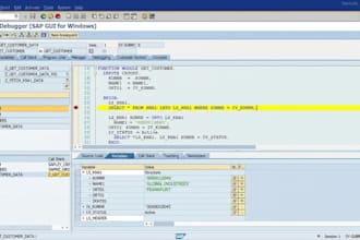create custom sap abap reports and enhancements