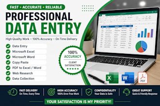 do accurate data entry, microsoft excel and microsoft word tasks