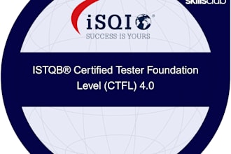 perform QA testing with detailed reports