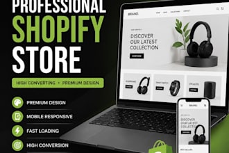 build a professional shopify store