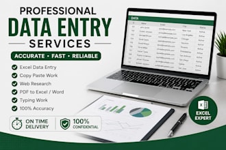 do accurate data entry, excel data entry, copy paste and web research