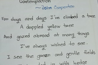 write anything with my beautiful handwriting