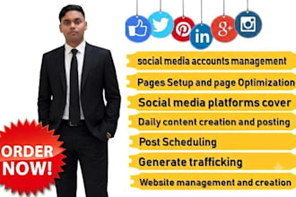 do your socil media manager for instagram facebook and seo