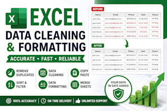 clean excel data remove duplicates and format spreadsheets