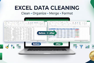 clean, sort, format and organize your excel data professionally in reports