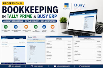 do bookkeeping in tally prime and busy erp professionally