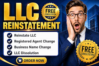 help with llc reinstatement llc amendment and business compliance
