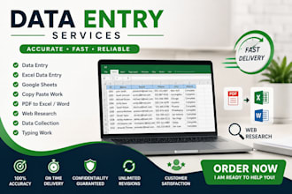 do accurate data entry, copy paste, and excel data typing