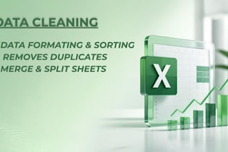 data cleaning , excel formatting , data scrubbing