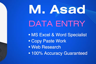 do expert data entry, copy paste and excel data entry work