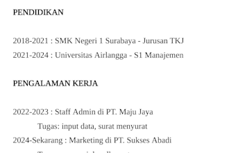 saya akan mengetik dokumen anda dengan cepat rapi dan akurat