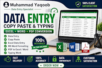 do accurate data entry, copy paste, excel and ms word tasks
