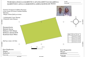 do professional gis mapping and qgis data analysis